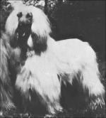 Thumbnail of Winonie Of Ghazni