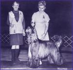 Thumbnail of Akaba's Royal Flush