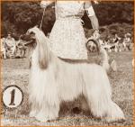 Thumbnail of Holly Hill Desert Wind