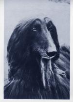 Thumbnail of Infashia Of Grandeur