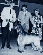 Thumbnail of Cammar's Pa' Yunga Of Grandeur