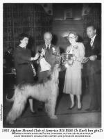 Thumbnail of Karli Ben Ghazi