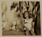 Thumbnail of Five Mile's Punjab Ben Ghazi