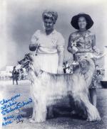 Thumbnail of Akaba's Sterling Silver