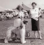 Thumbnail of Ben Ghazi's Mandingo