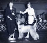 Thumbnail of Tajmir Gunsmoke Of Mecca