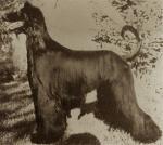 Thumbnail of Akaba's Blackjack