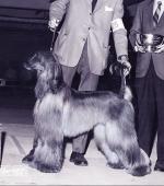 Thumbnail of Mecca's Mission Impossible