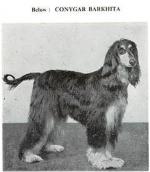 Thumbnail of Conygar Barkhita