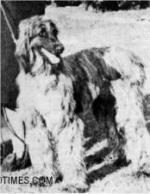 Thumbnail of Sardar Khan el Kabul (UK)