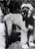 Thumbnail of Zenophon Of Elcoza