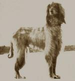 Thumbnail of Asman Of Ghazni