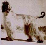 Thumbnail of Crown Crest Kabul (USA)