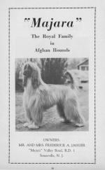 Thumbnail of Majara Mahabat