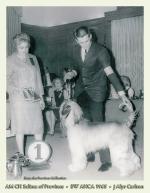 Thumbnail of Salima Of Province