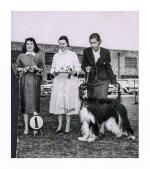 Thumbnail of Eljac's Dragon Lady Of Dureigh