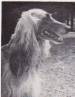 Thumbnail of Helga van Klein Vossenburg