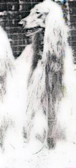 Thumbnail of Hindukist El Myia