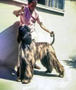 Thumbnail of Akaba's Allah Kazam