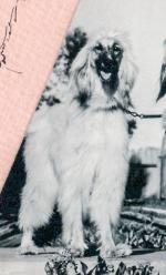 Thumbnail of Zanya Of Elcoza