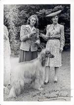 Thumbnail of Rajah El Myia