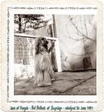 Thumbnail of Bel Belleek Of Skyridge