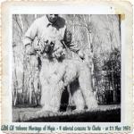 Thumbnail of Televee Muringa El Myia