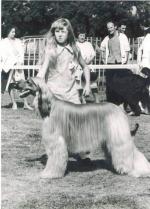 Thumbnail of Montravia Bondor Bolero