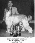 Thumbnail of Bletchingley Ragman Of Scheherezade