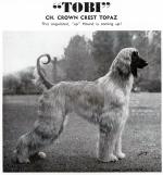 Thumbnail of Crown Crest Topaz