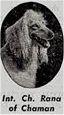 Thumbnail of Rana Of Chaman Of Royal Irish
