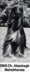 Thumbnail of Abashagh Mahabharata