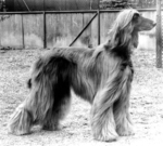 Thumbnail of Kyros von Katwiga