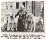 Thumbnail of Chota Sahib