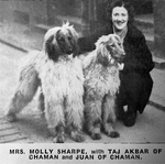 Thumbnail of Taj Akbar Of Chaman