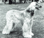 Thumbnail of Khanabad Aztrajid (Aztrazid)