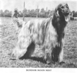 Thumbnail of Bondor Moon Mist