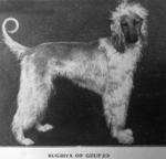 Thumbnail of Sugriva Of Geufron