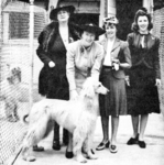 Thumbnail of Rana Of Chaman Of Royal Irish