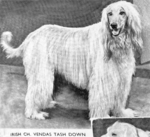 Thumbnail of Vendas Tash Down