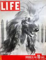 Thumbnail of Rudiki Of Prides Hill