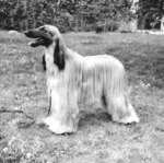 Thumbnail of Horningsea Khanabad Suvaraj