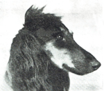 Thumbnail of Asri-Havid Of Ghazni