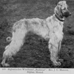 Thumbnail of Buckmal