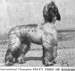 Thumbnail of Felt's Thief Of Bagdad