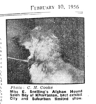 Thumbnail of Saleh Bey Of Khorrassan