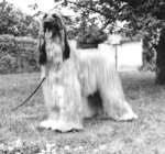 Thumbnail of Horningsea Khanabad Suvaraj