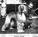 Thumbnail of Chota Sahib