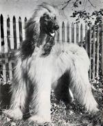 Thumbnail of Rudiki Of Prides Hill