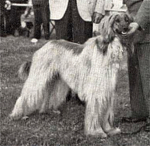 Thumbnail of Netheroyd Red Eagle